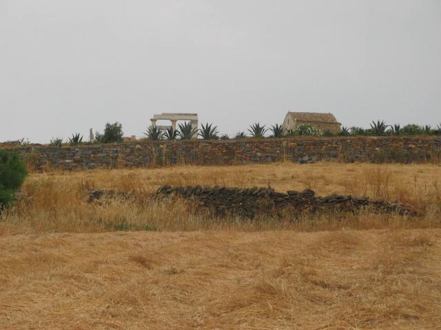 IMG_6495.jpg