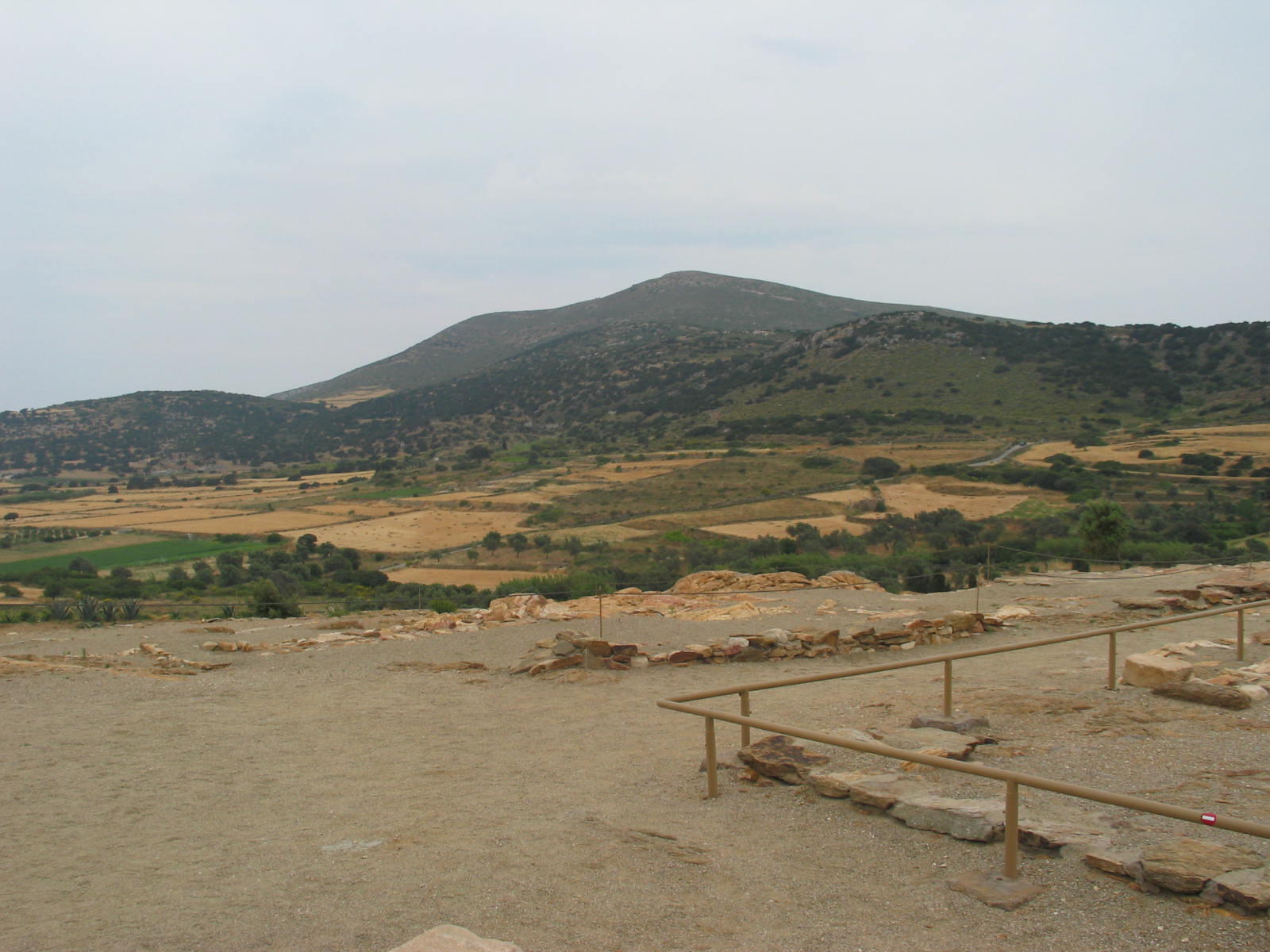 IMG_6497.jpg