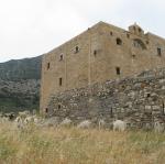 IMG_6513.jpg