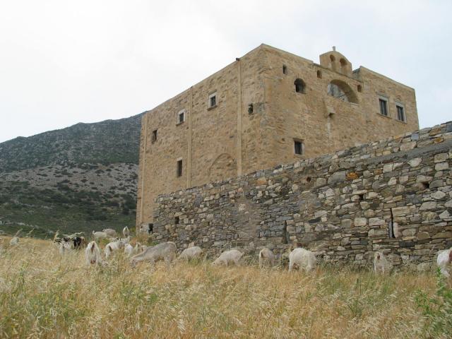 IMG_6513.jpg