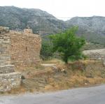 IMG_6518.jpg
