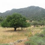 IMG_6520.jpg
