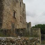 IMG_6524.jpg