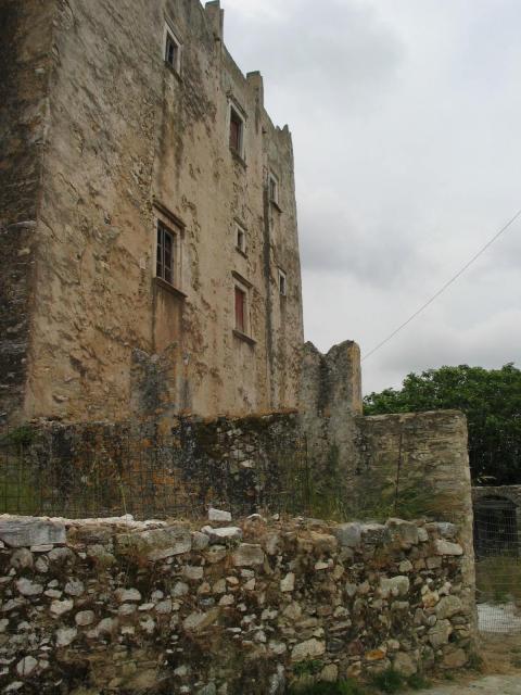IMG_6524.jpg