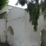 IMG_6528.jpg