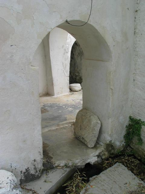 IMG_6529.jpg