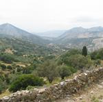 IMG_6535.jpg