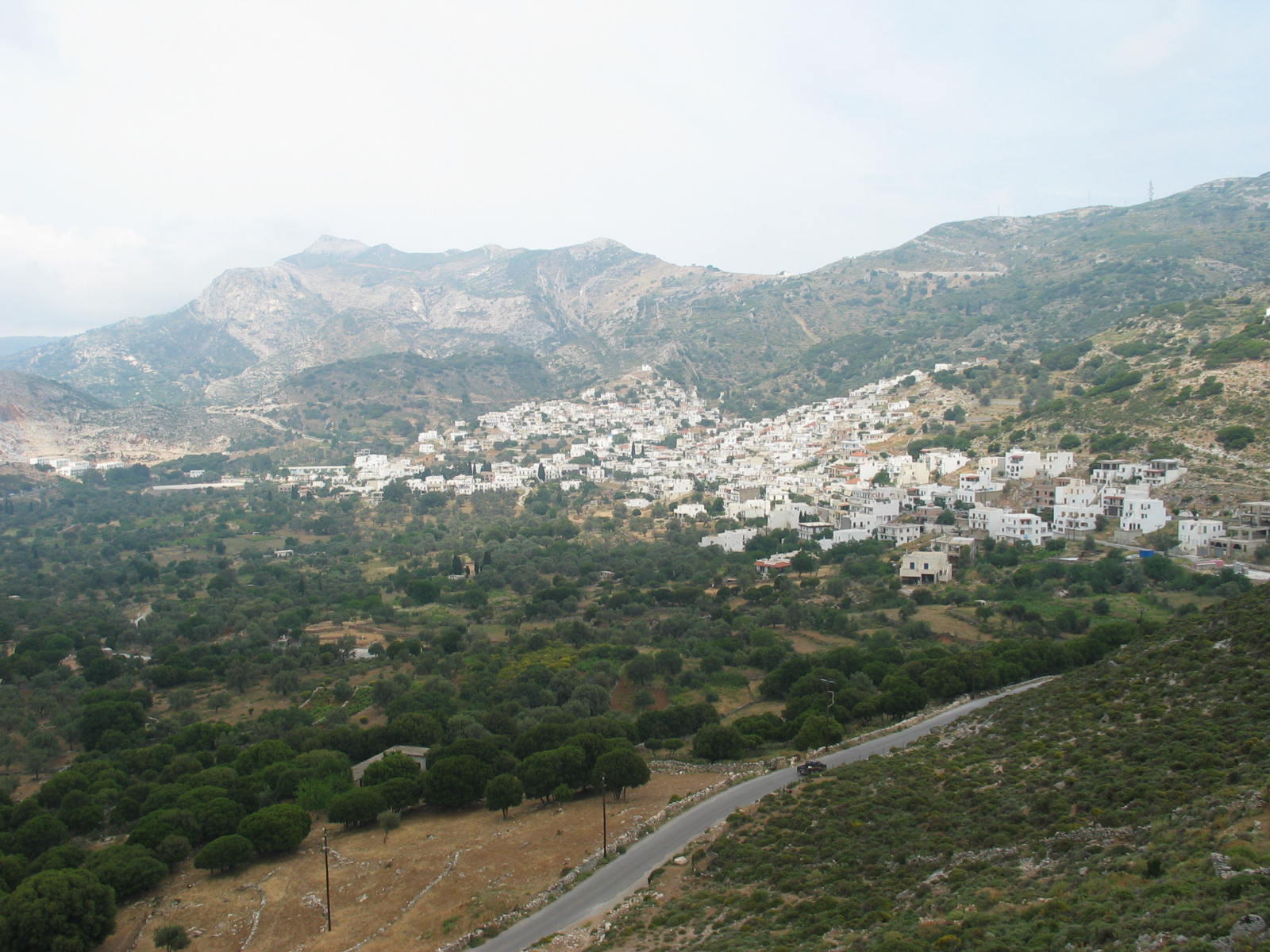 IMG_6538.jpg