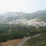 IMG_6538.jpg