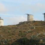 IMG_6550.jpg