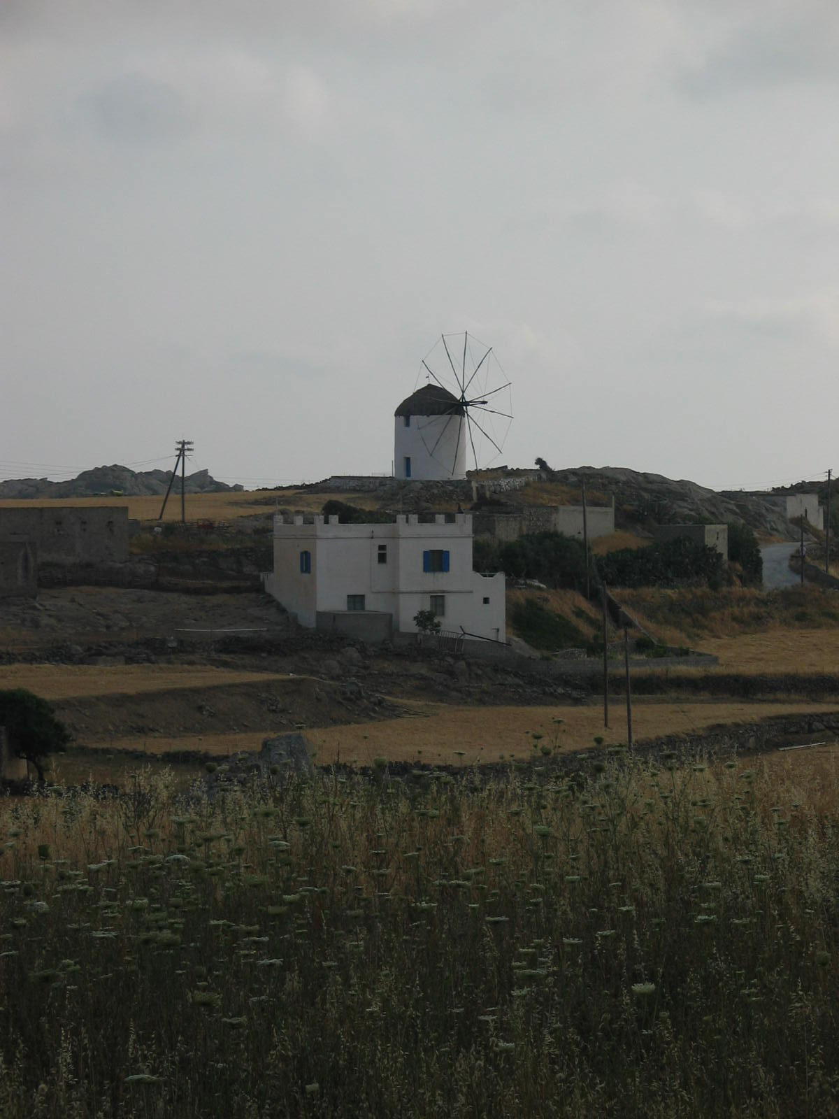IMG_6551.jpg