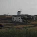 IMG_6551.jpg