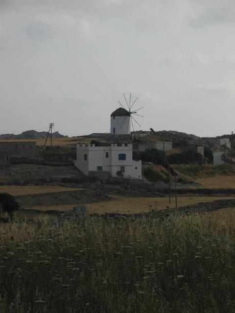 IMG_6551.jpg