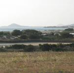 IMG_6554.jpg