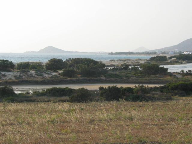 IMG_6554.jpg