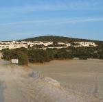 IMG_6556.jpg