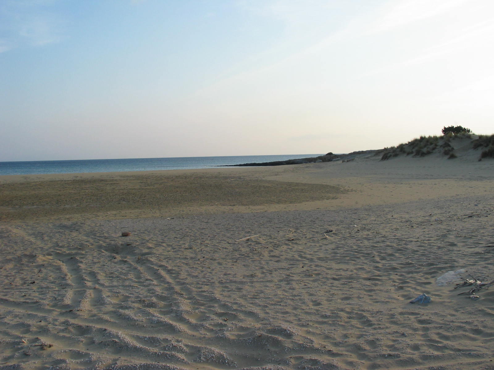 IMG_6557.jpg