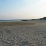 IMG_6557.jpg