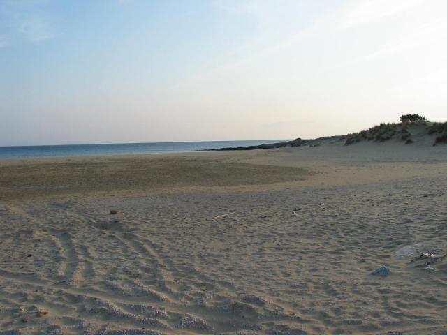 IMG_6557.jpg
