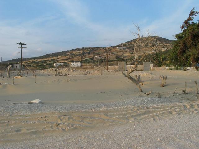 IMG_6558.jpg