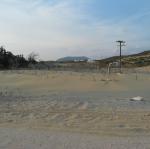 IMG_6559.jpg