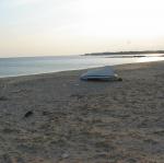 IMG_6560.jpg