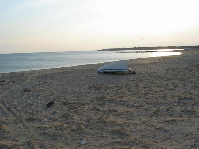 IMG_6560.jpg