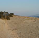 IMG_6561.jpg