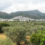 IMG_6563.jpg