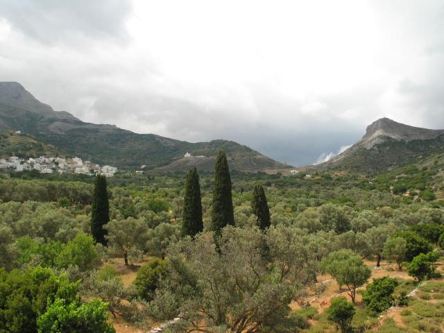 IMG_6565.jpg