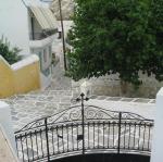 IMG_6573.jpg