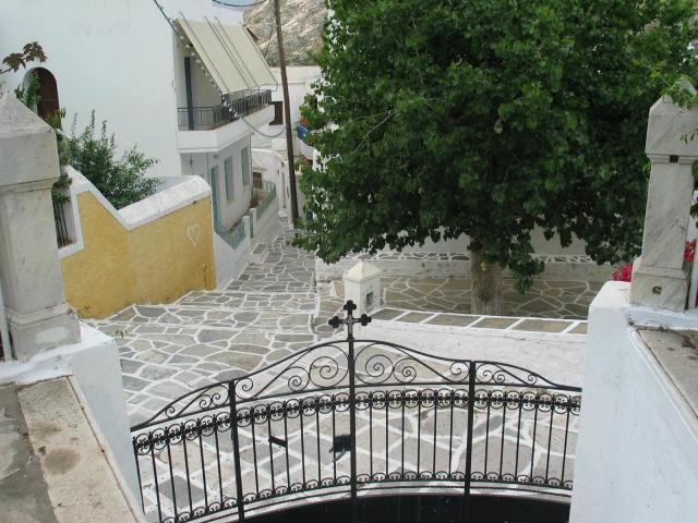 IMG_6573.jpg