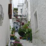 IMG_6579.jpg