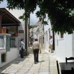 IMG_6586.jpg