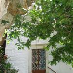 IMG_6587.jpg