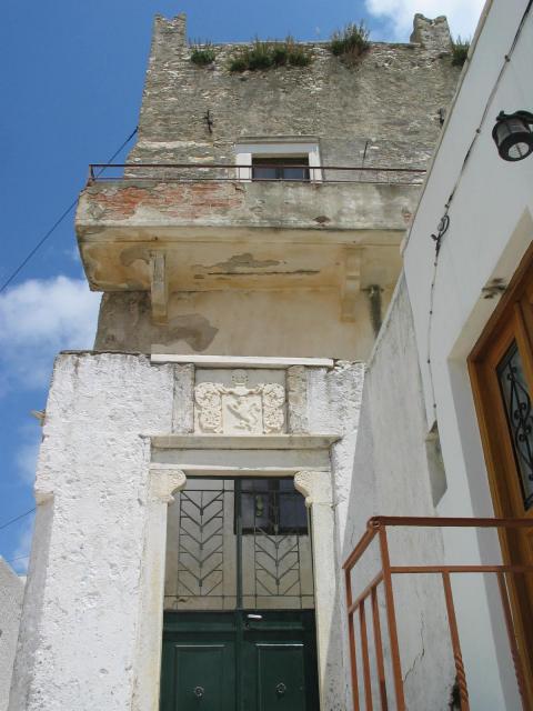 IMG_6589.jpg