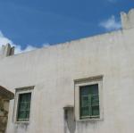 IMG_6590.jpg