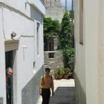 IMG_6595.jpg