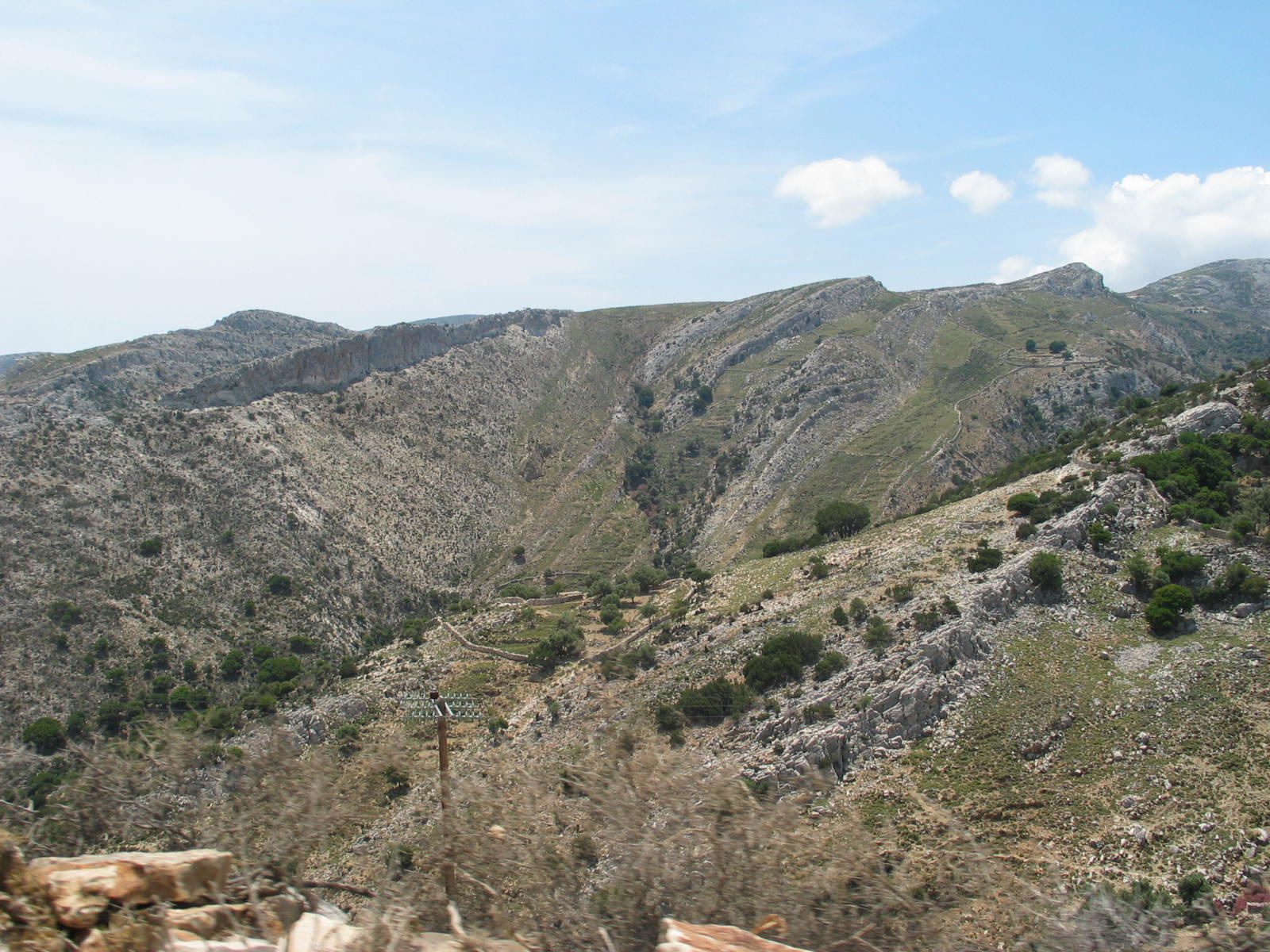 IMG_6597.jpg