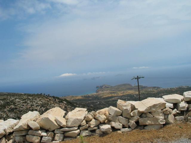 IMG_6598.jpg