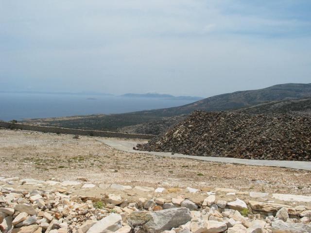 IMG_6599.jpg