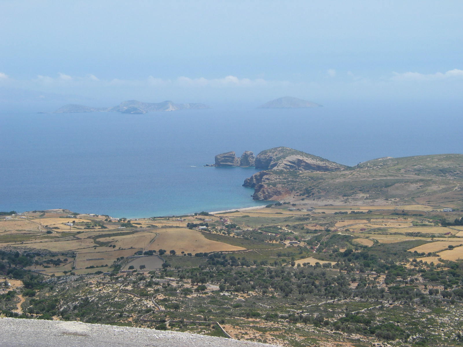 IMG_6600.jpg