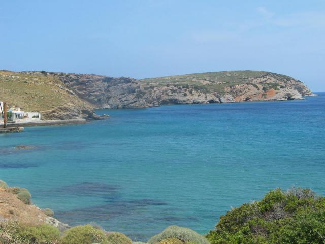 IMG_6615.jpg