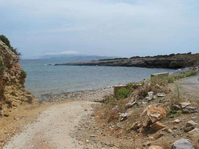 IMG_6617.jpg