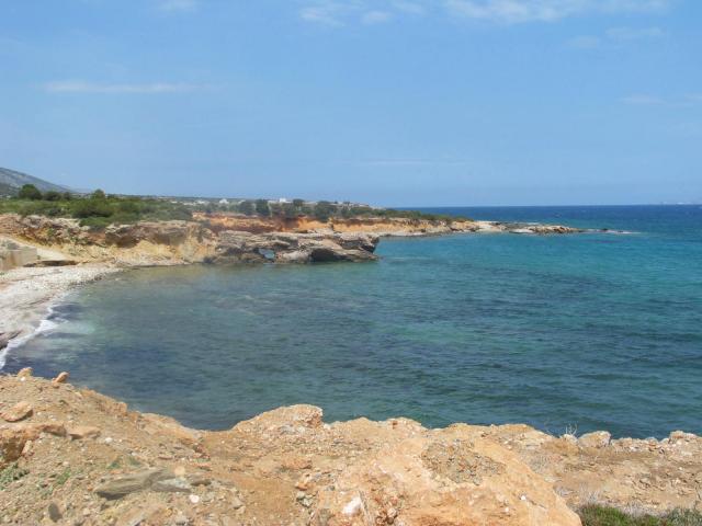 IMG_6619.jpg