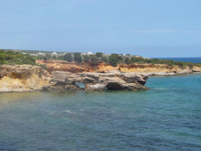 IMG_6620.jpg