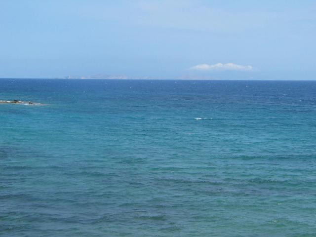 IMG_6621.jpg