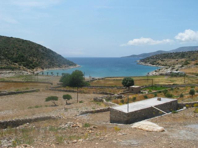 IMG_6622.jpg