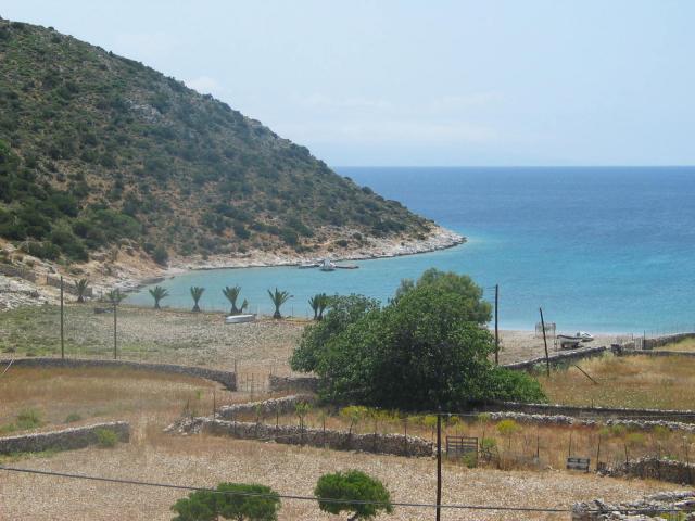 IMG_6623.jpg