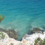 IMG_6625.jpg